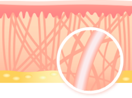 procedure