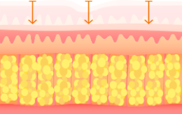 procedure
